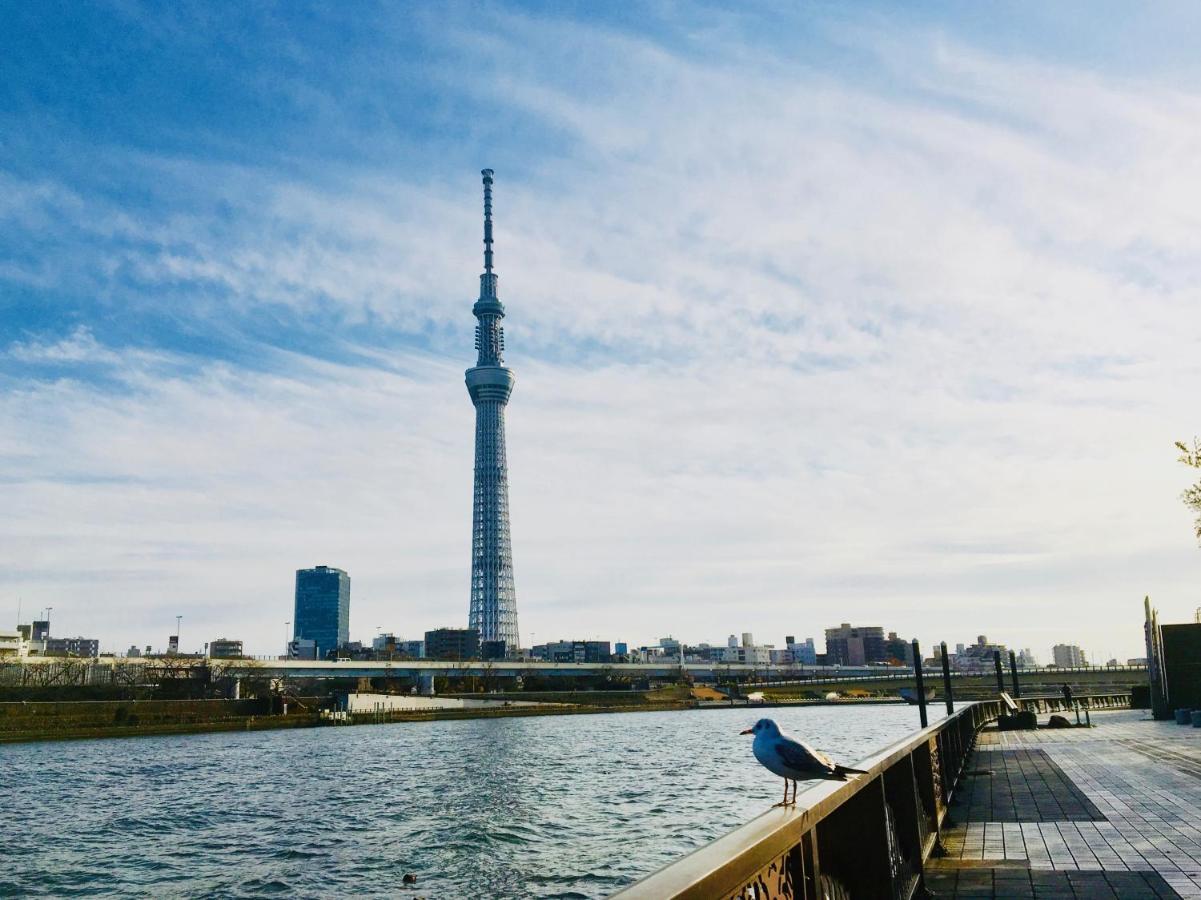 Kangaroo Tokio